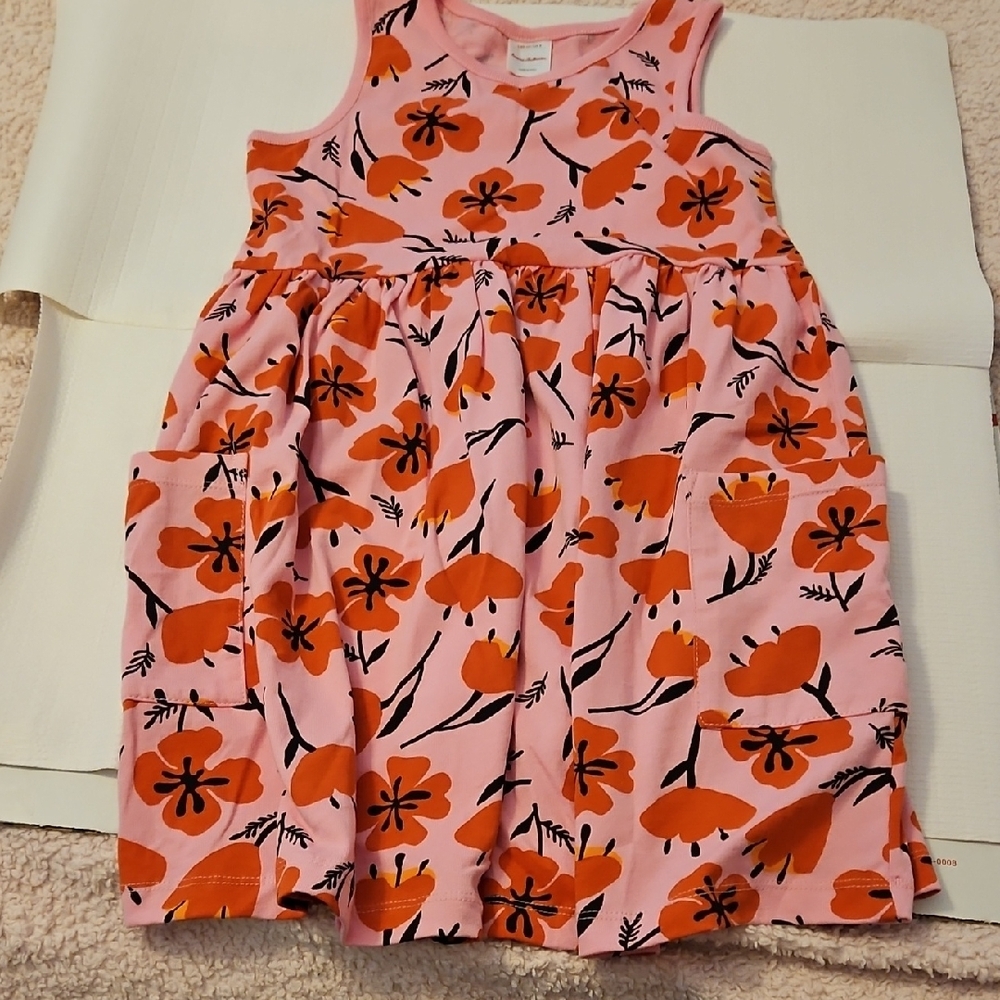 Hanna Andersson Pink and Orange Floral Dress